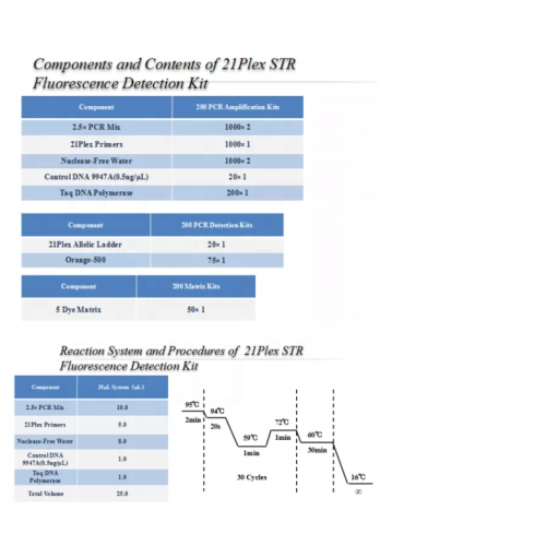 フォレンジックDNA識別キットPaternity DNA Reagent Kit